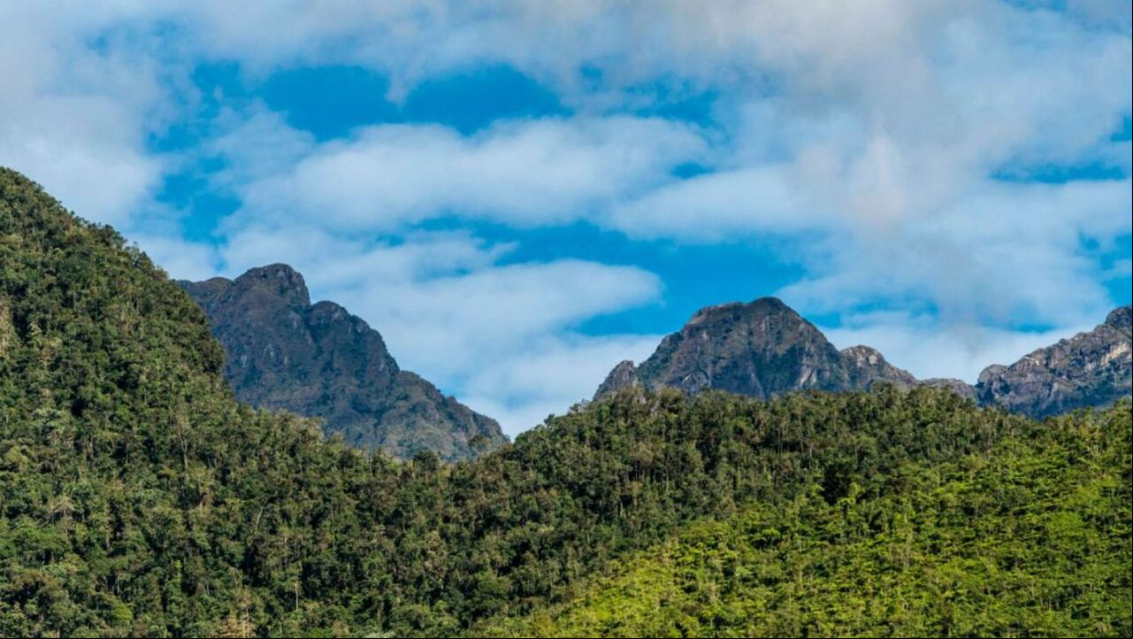 Parque Nacional Natural Farallones de Cali: actividades imperdibles para disfrutar en este atractivo turístico