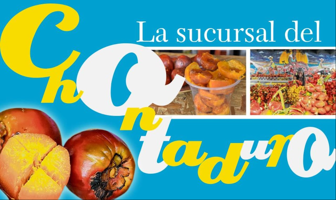 En esta cosecha, cada semana, están llegando a Cali 50 toneladas del fruto. Fotorreportaje de cómo se vive la bonanza de la pepa afrodisiaca.