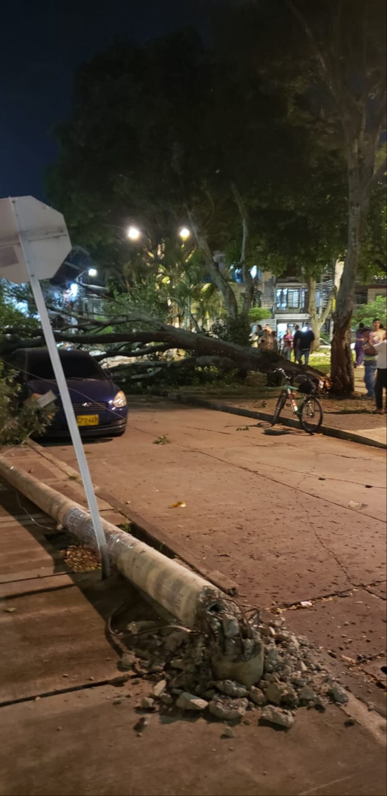 El árbol se desplomó cerca de un parque infantil, en el que había una gran cantidad de niños.